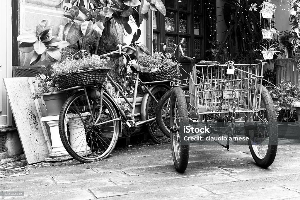 Vecchia bicicletta e fiore.  Bianco e nero - Foto stock royalty-free di Ambientazione esterna