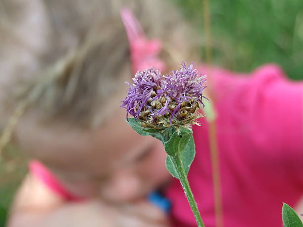 istock girl and flower 487253857