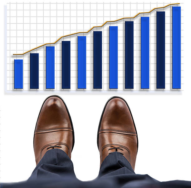 el camino hacia el éxito - diagram pie chart analyzing chart fotografías e imágenes de stock