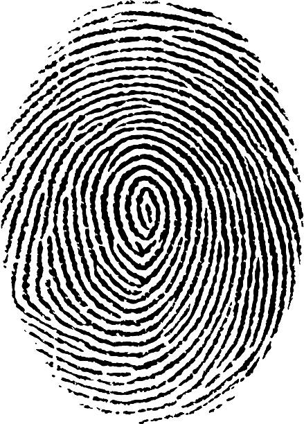 Fingerprint Vector illustration, isolated, grouped, transparent background fingerprint stock illustrations