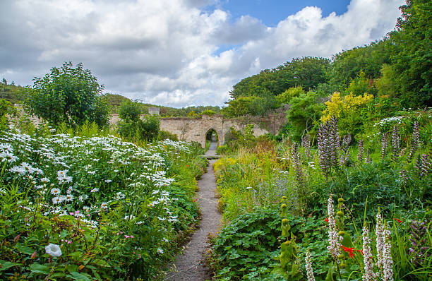 lush flower garden in dunraven castle park coast wales - plant formal garden nature botany stock-fotos und bilder