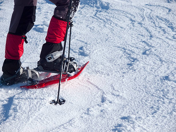 istock Feet in snowshoes. 487259816