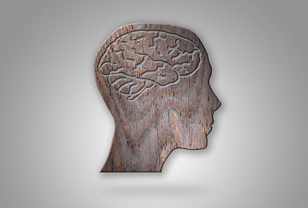 istock Floating Wooden Female Face Shape on a Soft Gradient Background 487260442