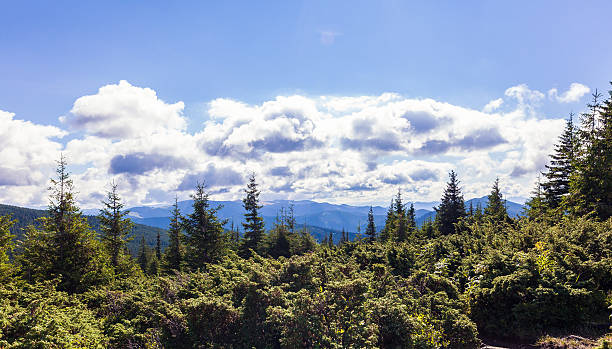 istock Montenegrin ridge in Carpathians 487260504