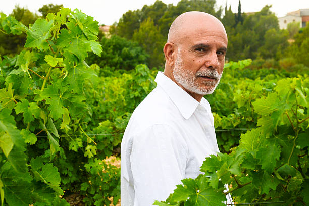 istock Senior man outdoors, at a vineyard 487262812