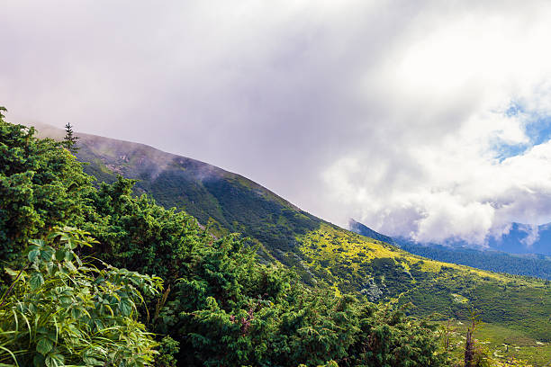 istock Montenegrin ridge in Carpathians 487263116
