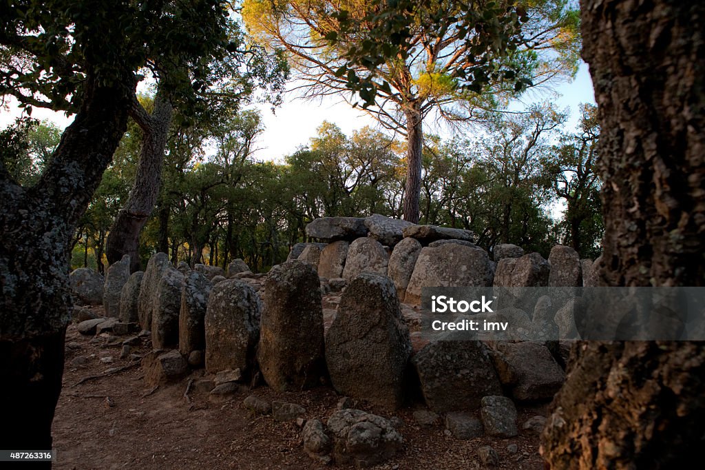 Cova d'en Daina Catalonian Dolmen Cova d'en Daina (English: Daina's Cave) is a dolmen located near Romanyà de la Selva, in the municipality of Santa Cristina d'Aro, Catalonia, Spain 2015 Stock Photo