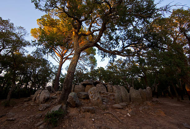 istock Cova d'en Daina Catalonian Dolmen 487263318
