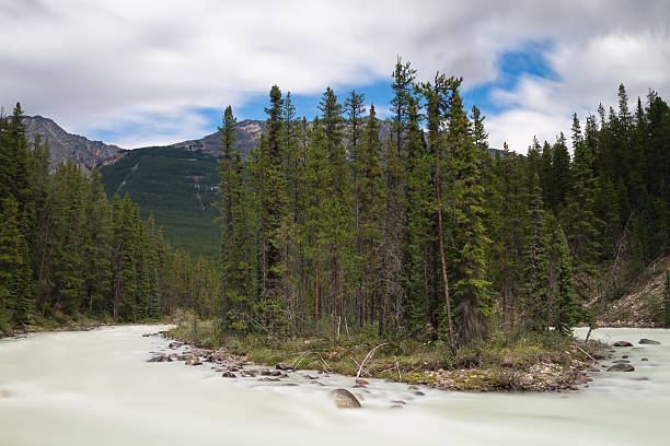 istock Cascades of the Sunwapta river 487270496