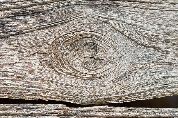 texture du bois vieux - 2546 photos et images de collection