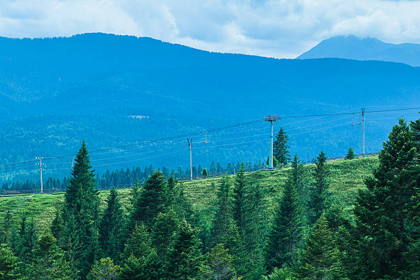 istock summer landscape in Carpathians 487271738