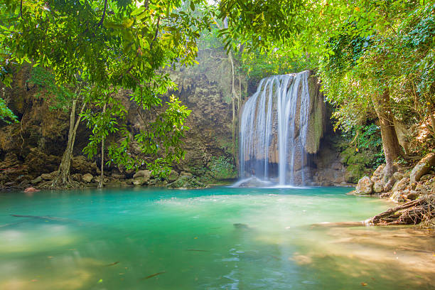 water fall Fairy Forest stock photo