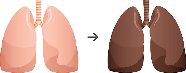 ilustrações de stock, clip art, desenhos animados e ícones de fumador de pulmões - cigarette tobacco symbol three dimensional shape