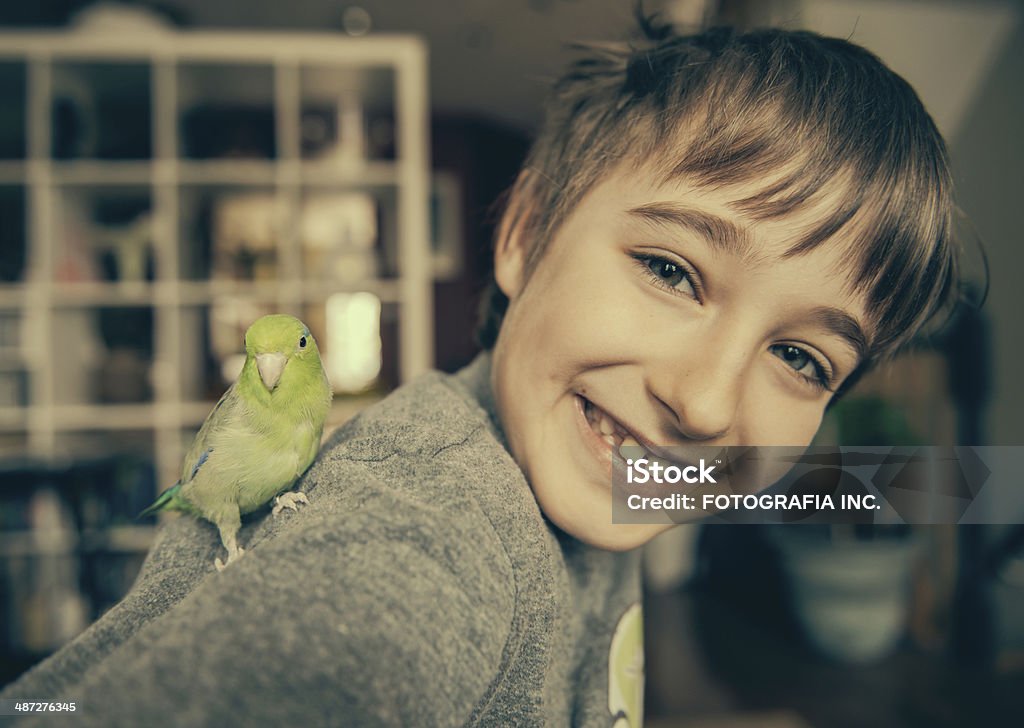Junge mit Haustier-Bird - Lizenzfrei Schulter Stock-Foto