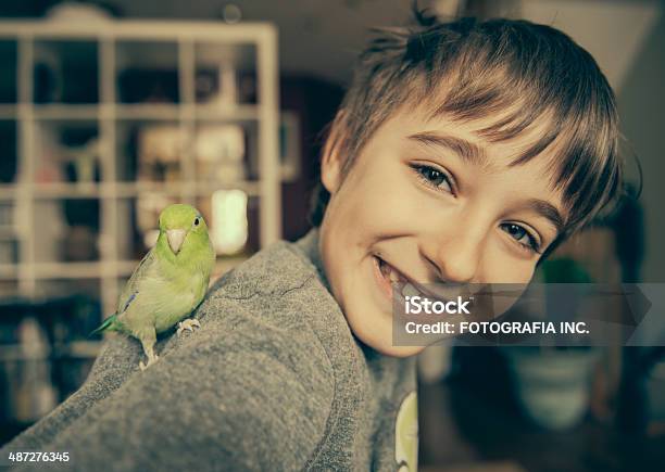 Junge Mit Haustierbird Stockfoto und mehr Bilder von Schulter - Schulter, Wellensittich - Sittich, Auge