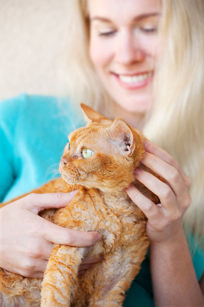 istock Woman stroking her kitty 487277946