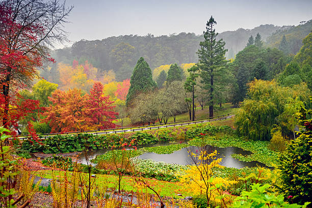 Autumn landscape under the rain Autumn landscape under the rain in Adelaide Hills panoramic country road single lane road sky stock pictures, royalty-free photos & images