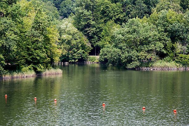 istock Bear Lake in Sovata, Transylvania, Romania 487288684