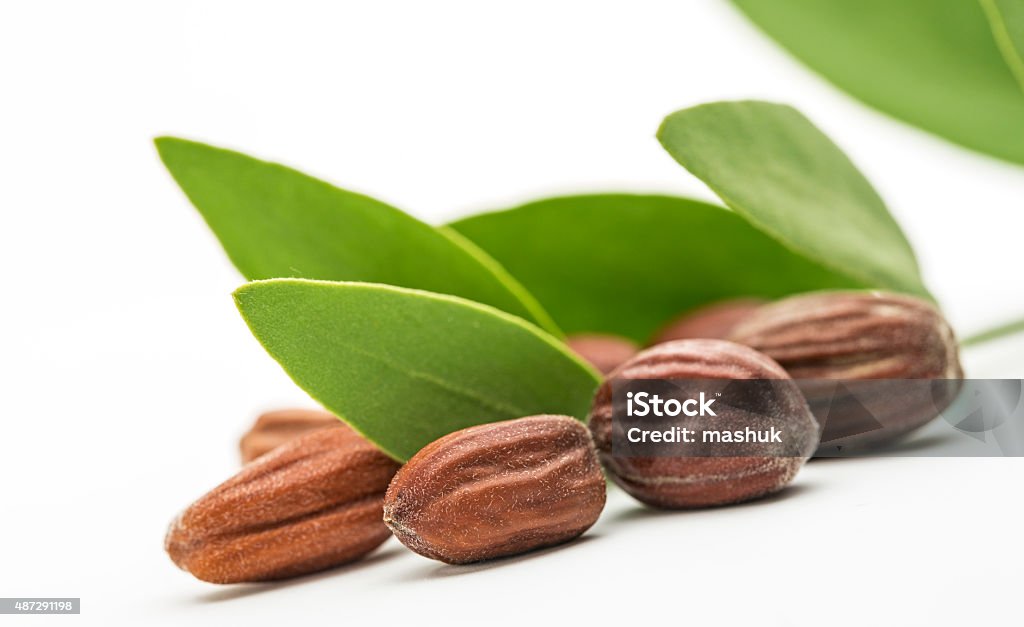 Jojoba seeds and leaves 2015 Stock Photo