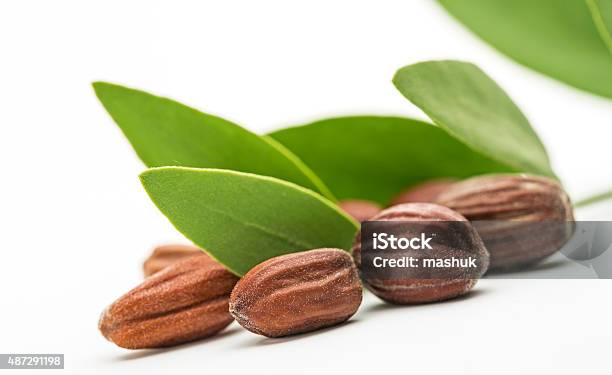 Jojoba Seeds And Leaves Stock Photo - Download Image Now - 2015, Bean, Beauty Product