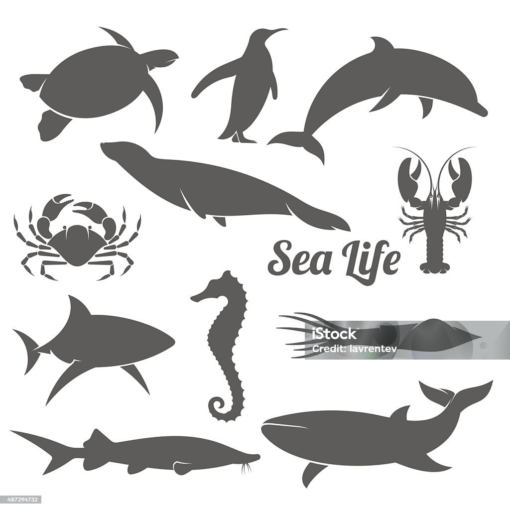 Minimal sea animals silhouette vector illustration black and white vector illustration set of silhouettes of sea animals in the minimal style In Silhouette stock vector