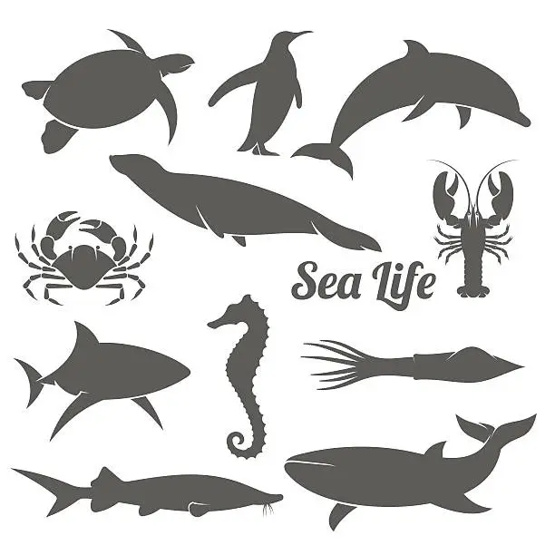 Vector illustration of Minimal sea animals silhouette vector illustration