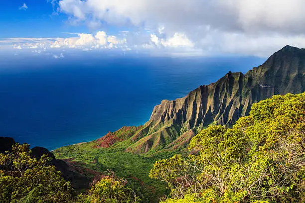 View of the Kalalau Valley and the Na Pali Coast from Kokee State Park, on the Hawaiian island of Kauai.