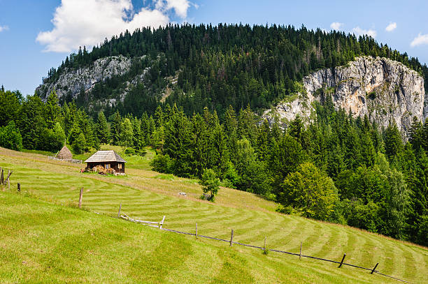 istock Single house on a meadow in mountains 487294856