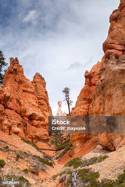 Parque Nacional De Bryce - Fotografias de stock e mais imagens de Ao Ar Livre - Ao Ar Livre, Calcário - Rocha Sedimentar, Chaminé de fada