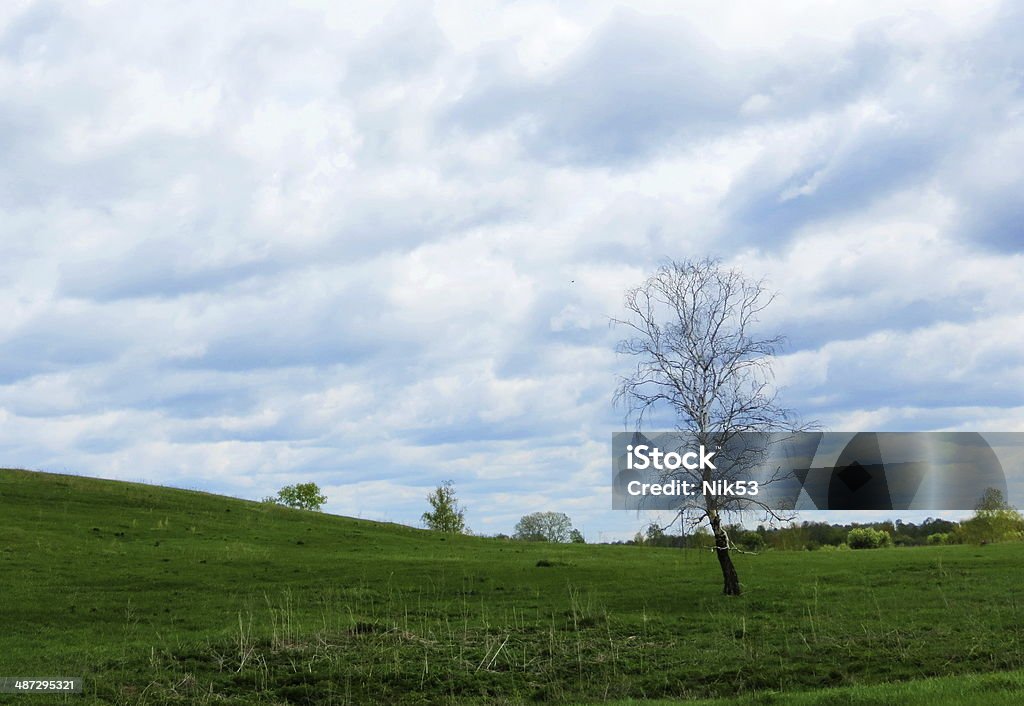 Springtime in steepe edge Came unusual warm springtime in steppe Altaya Agriculture Stock Photo
