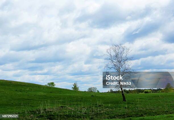 Springtime In Steepe Edge Stock Photo - Download Image Now - Agriculture, Birch Tree, Blue