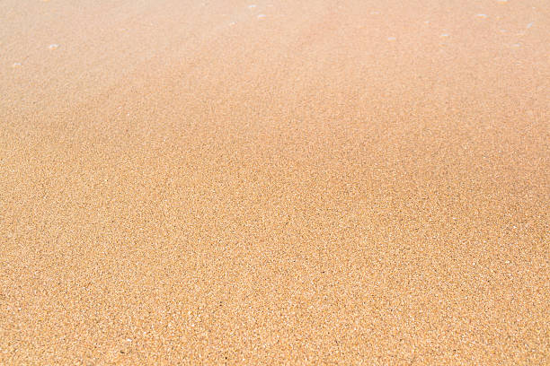 пляже пляж - sandy brown стоковые фото и изображения