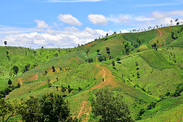 istock view of agriculture on mountain 487297376
