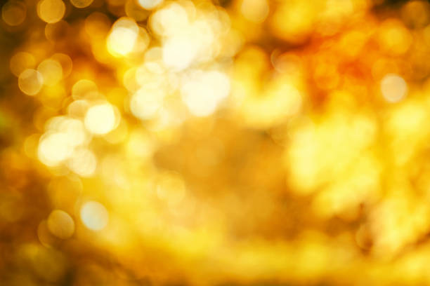 istock Shining defocused highlights in autumn trees 487297848