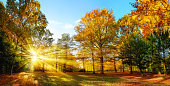 Sunny autumn scenery in an idyllic park