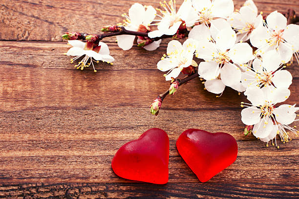 istock Flowering branch with white delicate flowers on wooden surface 487297921