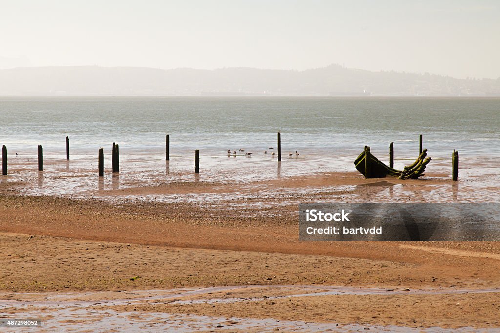 Columbia River near Astoria trunk at the riverside of the Columbia River 2015 Stock Photo