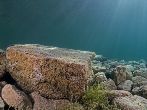 Freshwater underwater photography from rocks and sunbeams in the background.