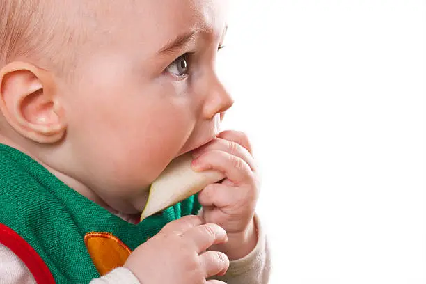 young baby sitting and eating an apple. Isolated on white.