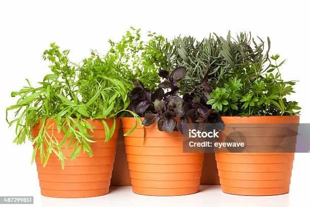 Foto de Cozinha Ervas Em Vasos e mais fotos de stock de Cerefólio - Cerefólio, Estragão, Alimentação Saudável