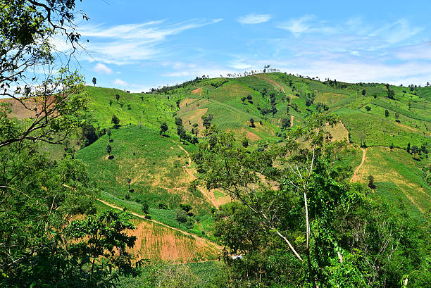 istock view of agriculture on mountain 487300300