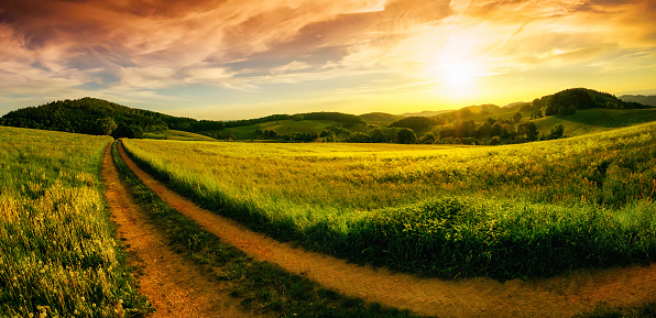 Rural landscape panorama with a meadow at sunset, hills on the horizon and a curved path leading to the orange sky
