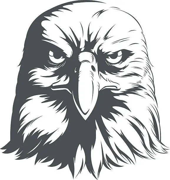 Vector illustration of Eagle Silhouettes Vector - Front View