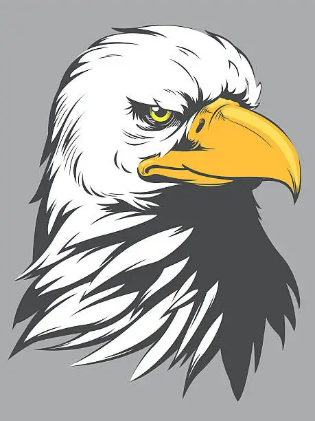 Vector illustration of Bald Eagle Head Cartoon