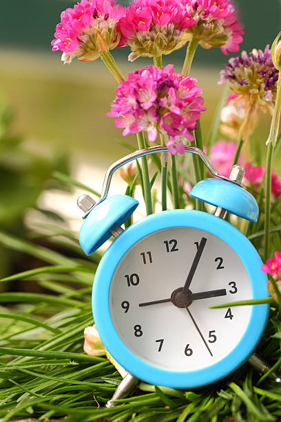 istock Classic alarm clock with pink flowers and grass 487300955