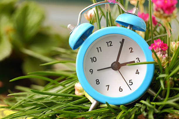 istock Classic alarm clock with pink flowers and grass 487300959