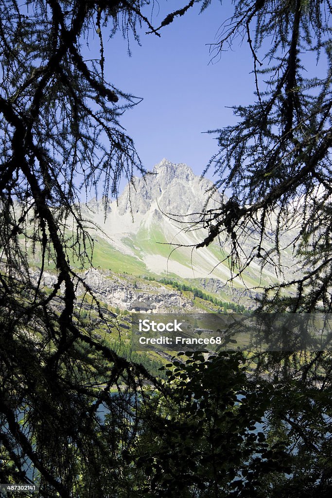 Marcher autour du Lac Sils (Suisse): Piz Lagrev sur fond - Photo de Corvatsch libre de droits