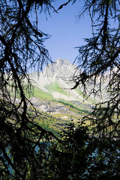marcher autour du lac sils (suisse): piz lagrev sur fond - oberengadin photos et images de collection