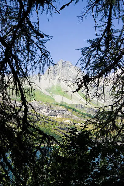 Series of images taken along the way around the lake Sils (about 10 miles) - (August, 2013)	