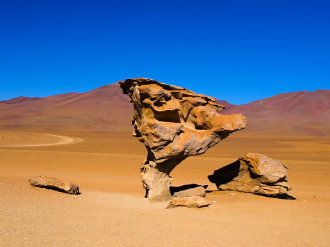 Stone tree rock formation in desert landscape of Altiplano with blue sky, Bolivia